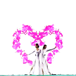 ҕlݳ(jng)o(j)˾