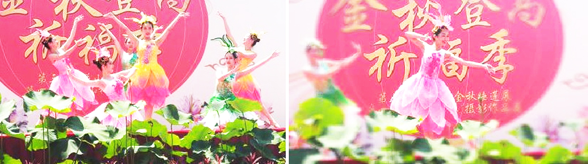 Vݸˇ(jng)o(j)˾